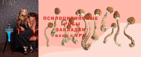 apvp Михайловка
