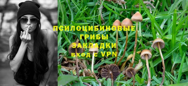 не бодяженный Алексин