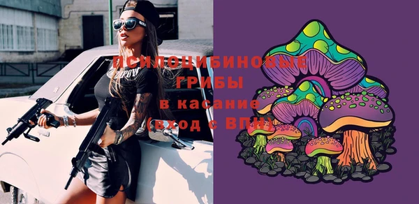 индика Михайловск