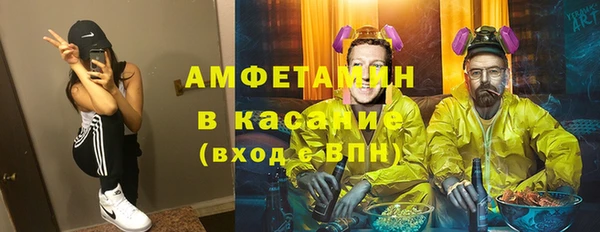 PSILOCYBIN Алзамай