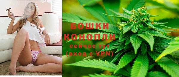 PSILOCYBIN Алзамай