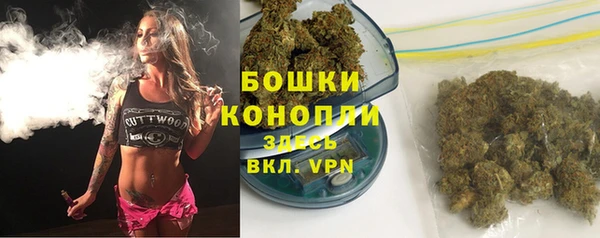 индика Михайловск