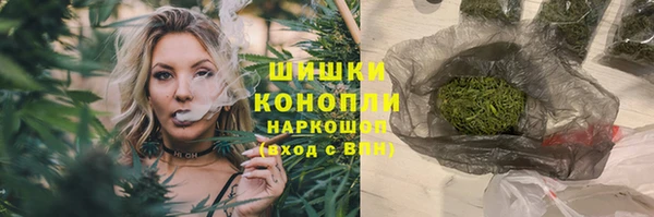 PSILOCYBIN Алзамай