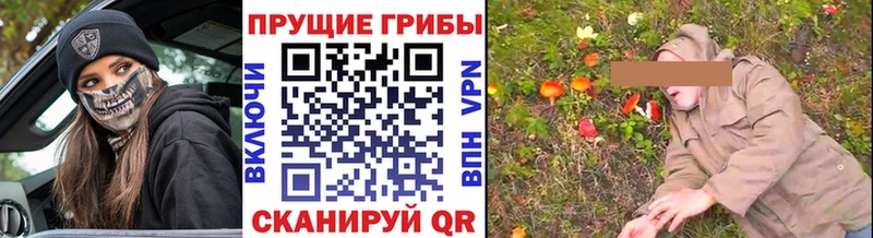 Псилоцибиновые грибы мицелий  цена наркотик  Сочи 